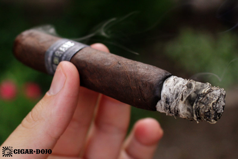 The Rake cigar review by Cigar Dojo
